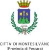 http://www.comune.montesilvano.pe.it